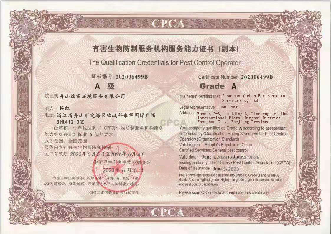 荣誉证书